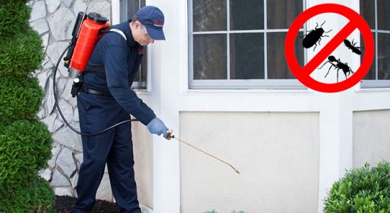 Ayvacık Dezenfeksiyon böcek ilaçlama ve haşere kontrolü — ilaclama-tr.com